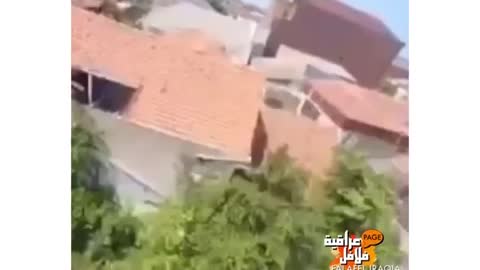البغبغا۽