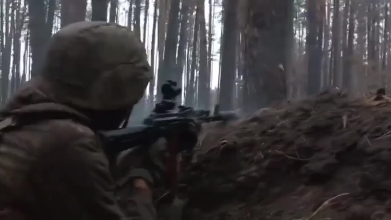 Serebryansky miracle forest, Luhansk region.