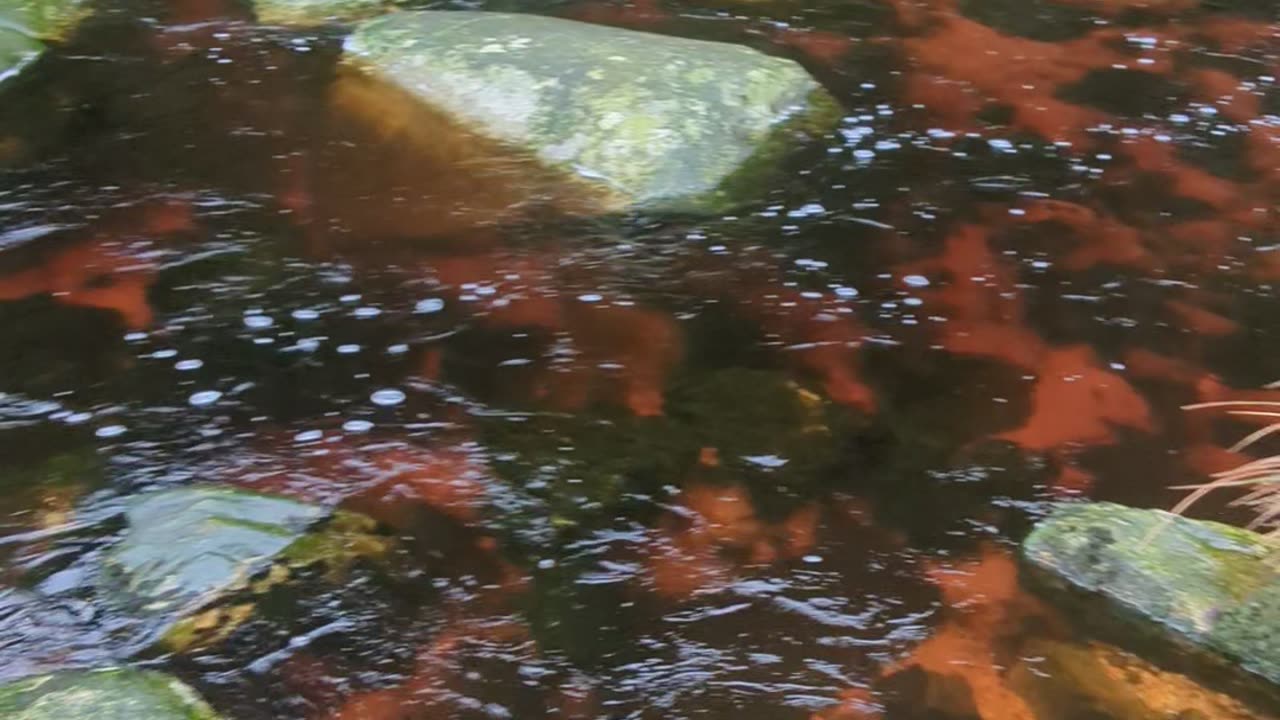 Glenmacnass river, Wicklow