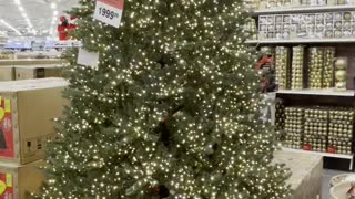 Great Christmas tree in Canada tire