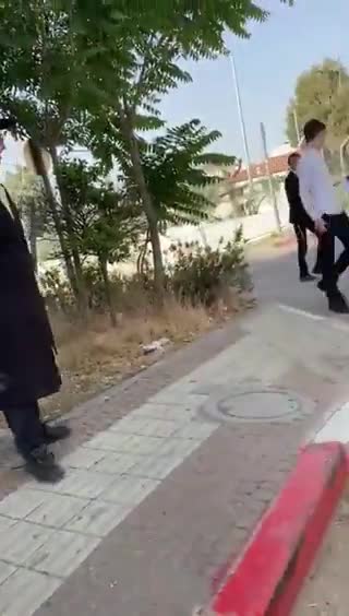 Pro-Palestine Jews exist