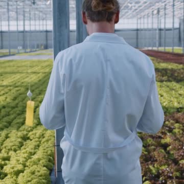 Inside Profitable, Sustainable Aquaponic and Hydroponic Systems with Horticulturist Daniel Wells