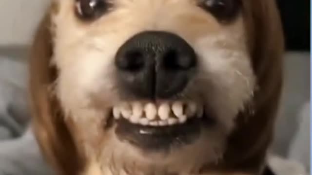 Giống ai đây 😂😂🥰🥰