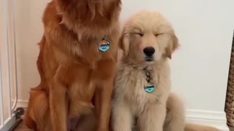 They grow up so fast!