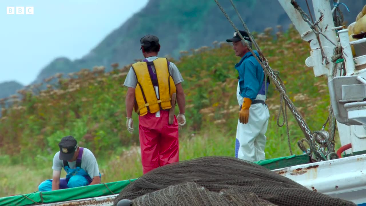 Humans Living Alongside Brown Bears | 4KUHD | Japan: Earth's Enchanted Islands | BBC Earth