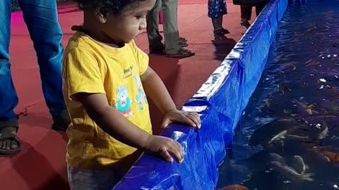 🐟 KID PLAYING WITH FISHES