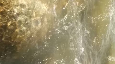 Water Waves