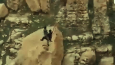 Do you think they survived?