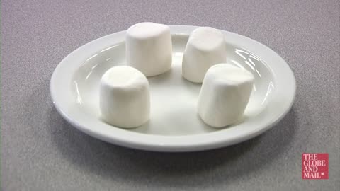 PARENTING SCIENCE The marshmallow test