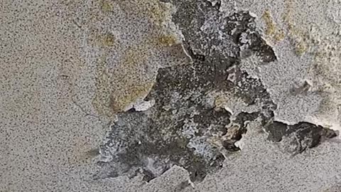 Roof in danger