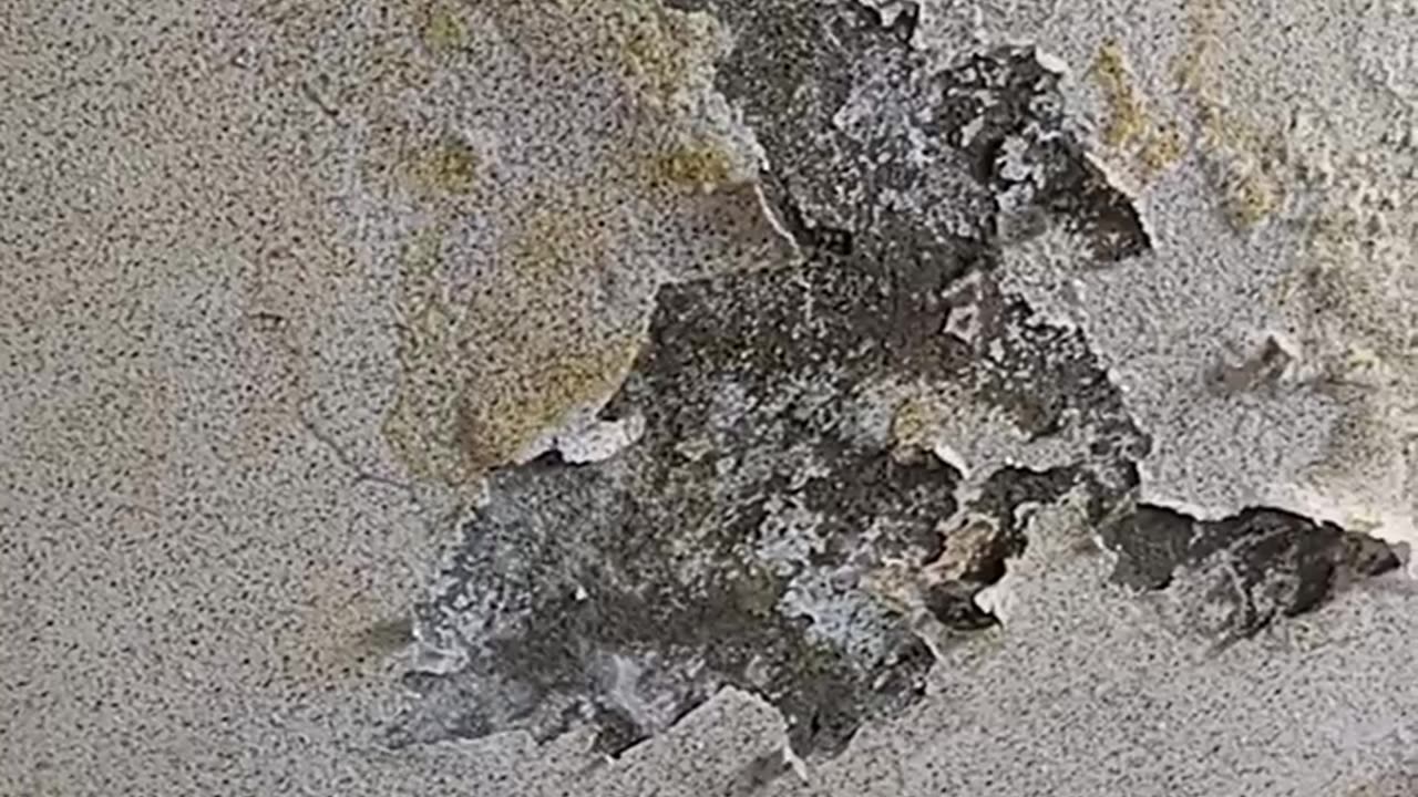Roof in danger