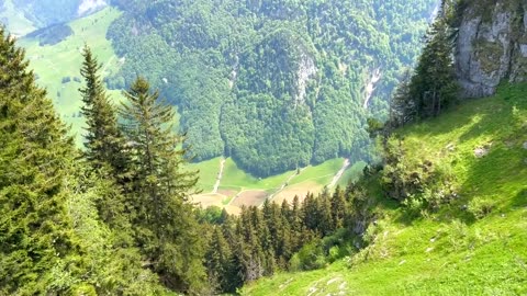 nature and beauti