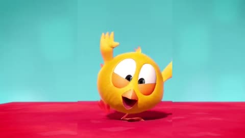 #SHORTS CHICKY