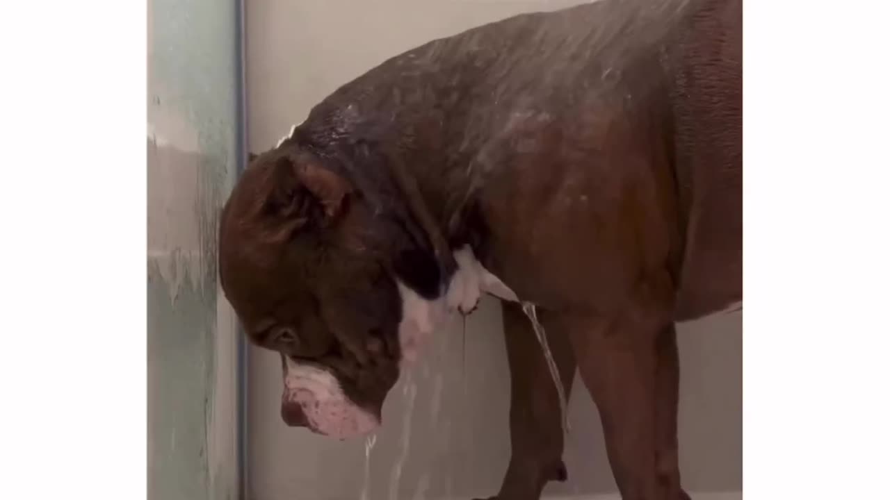 You know the feeling