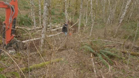 Nate Clears A Llama Trail