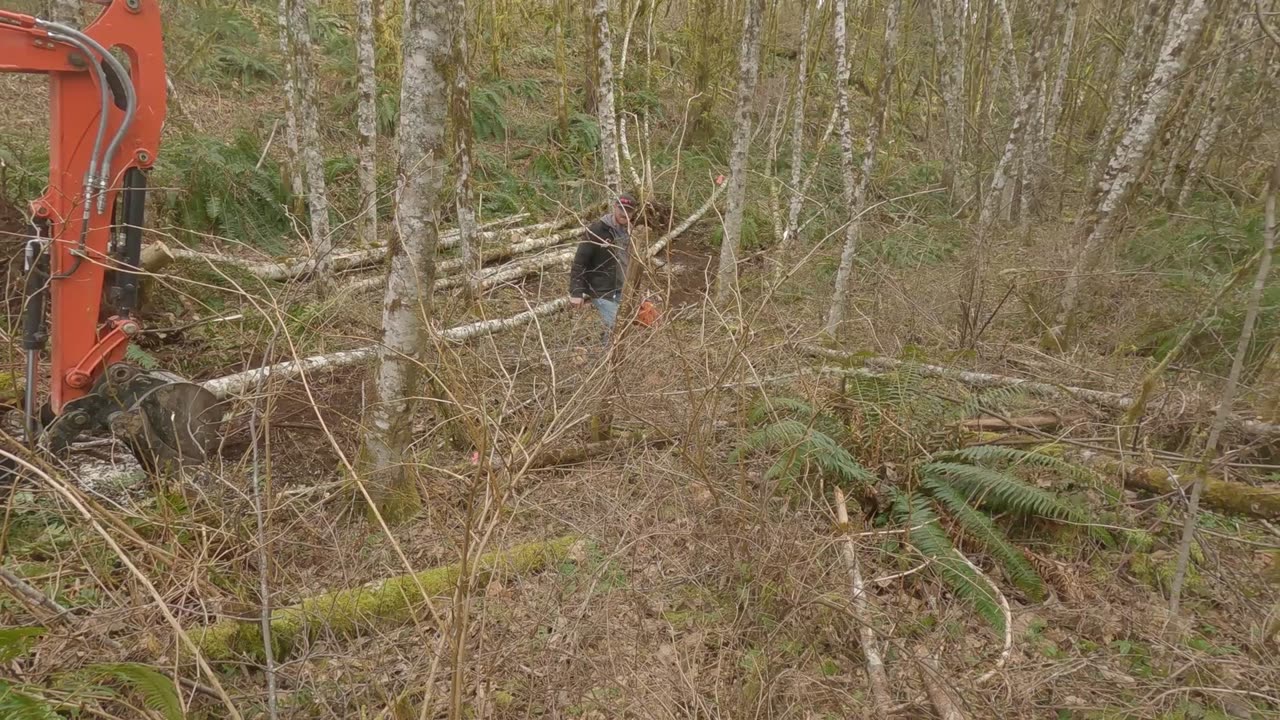 Nate Clears A Llama Trail