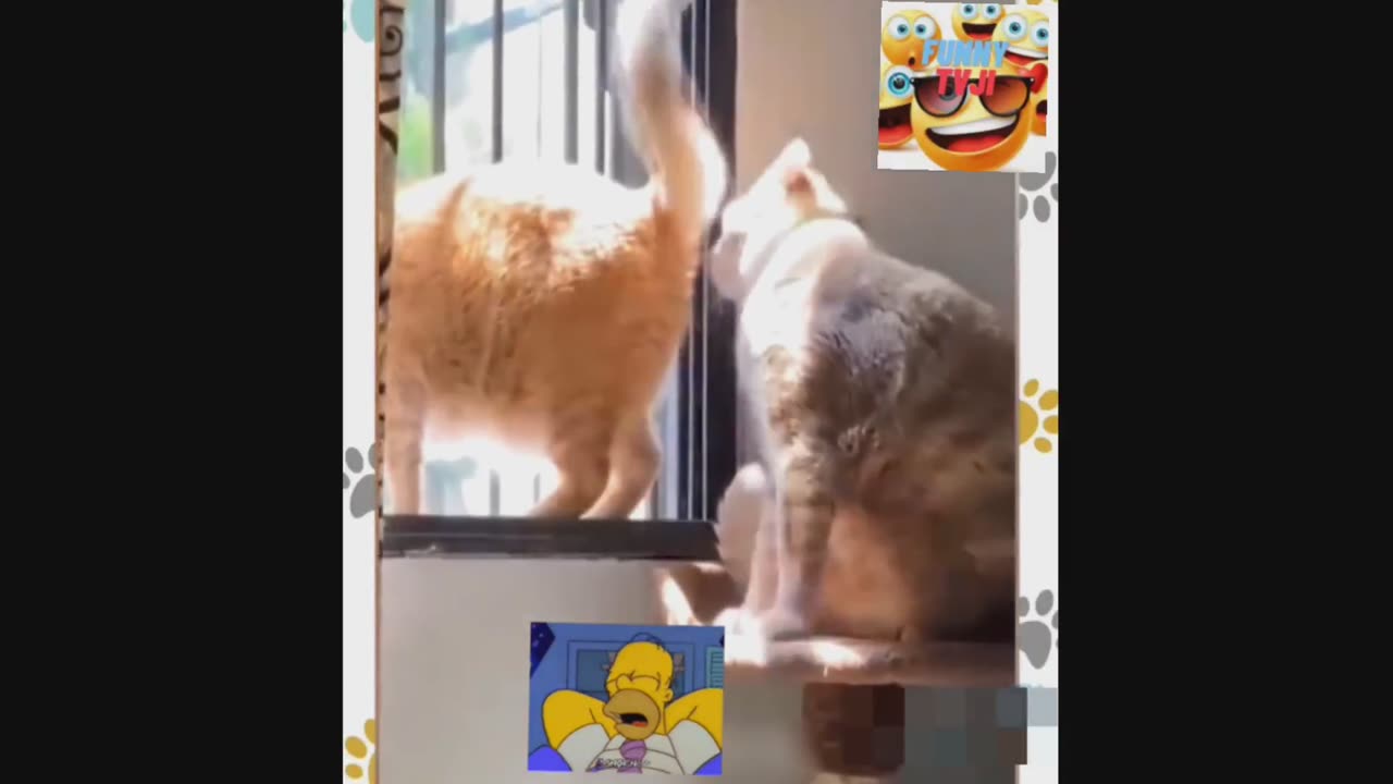 Super funny animals video_2023_04