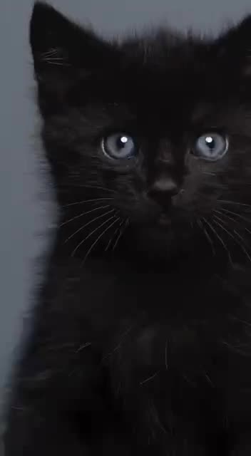 Changing eye color from 3 days to 3 months