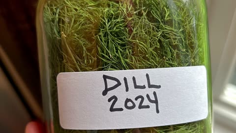 Dill for Life!