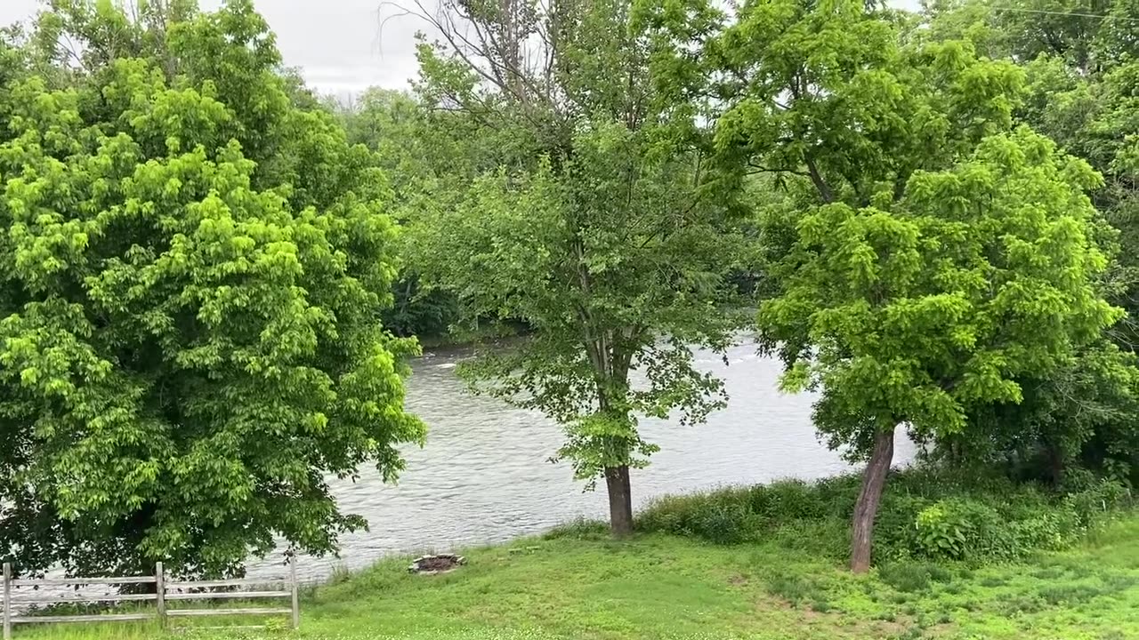 This is my new backyard