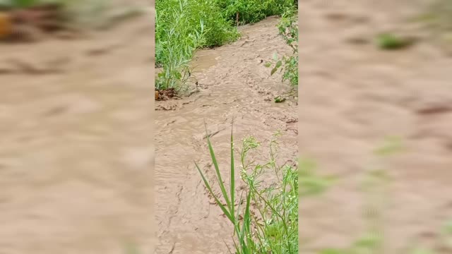 Flood across near the house