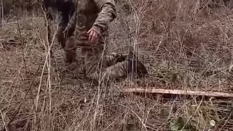 Many personnel of the Armed Forces of Ukraine