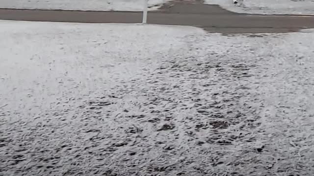 Test video.