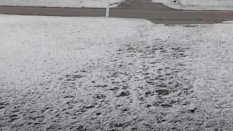 Test video.