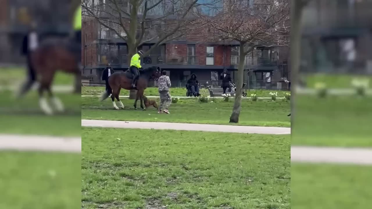 WARNING⚠️DOG🐕ATTACKS POLICE HORSE🐎IN LONDON'S VICTORIA PARK🏞️👀