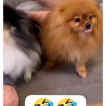 Funny moments #71 😅