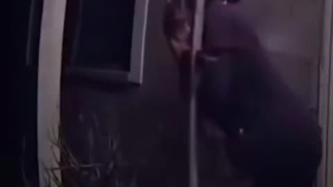 funny fail