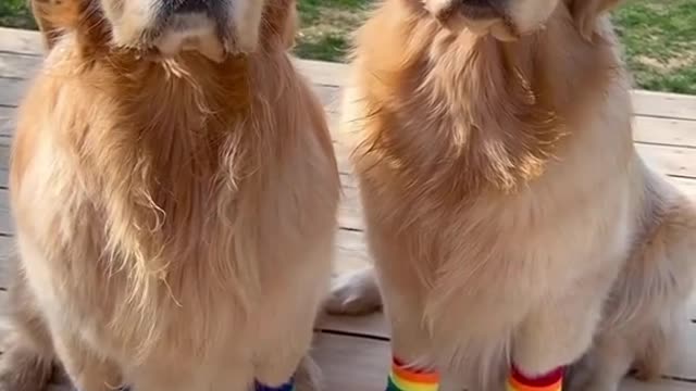 Funny video 😂