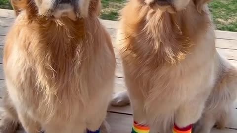 Funny video 😂
