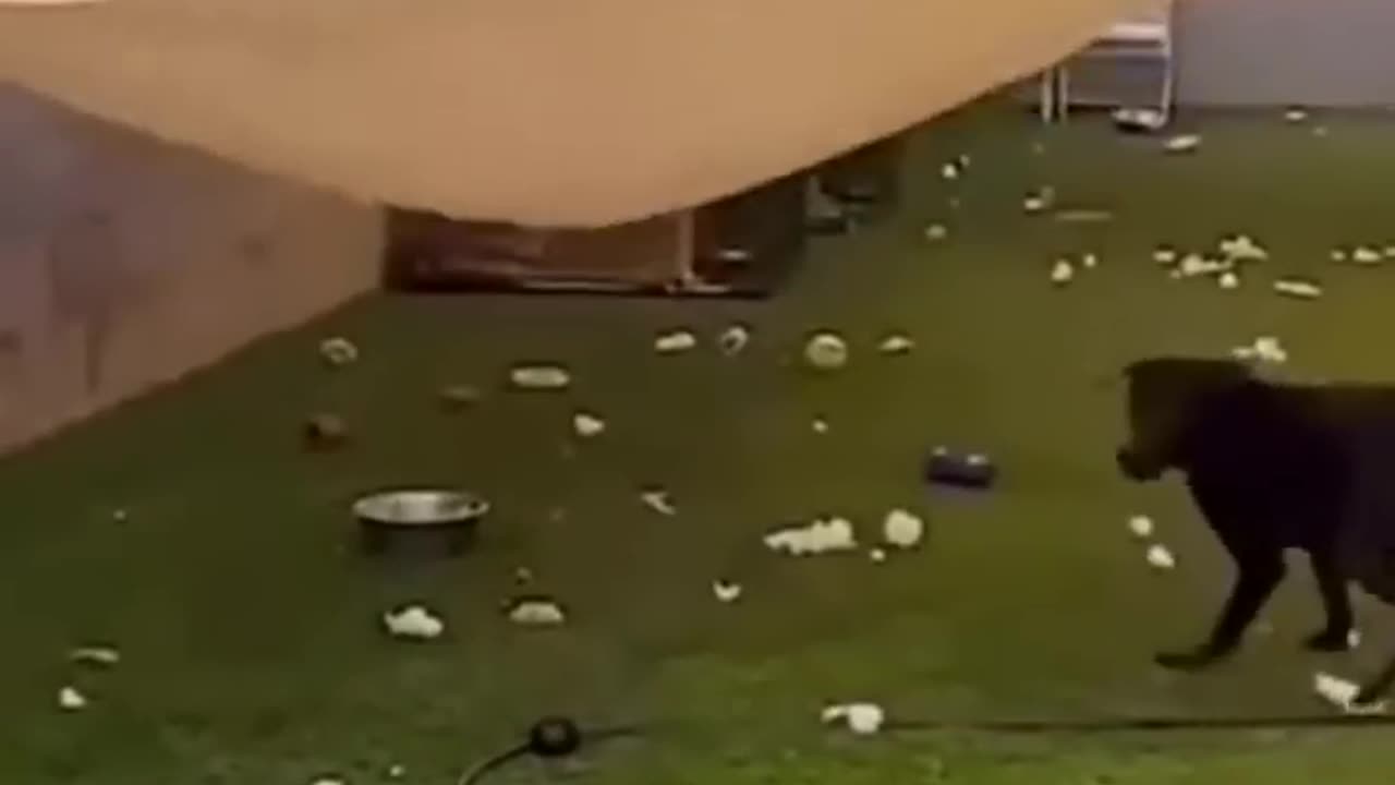 Cute And Funny