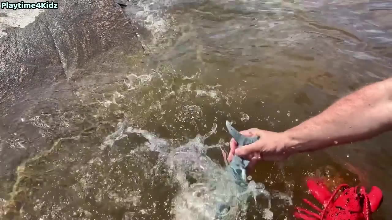 Sea the Animal Toys This Summer At The Shore