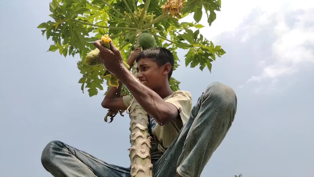 এতো সাদ কে