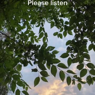 Project Manager Of A 1.3 Bilion Dollar Company Is Told The Vaccinated Employees Are Going to Die