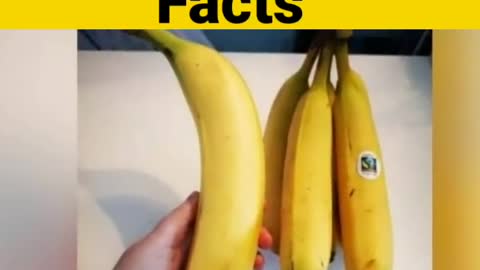 Top 5 amazing facts