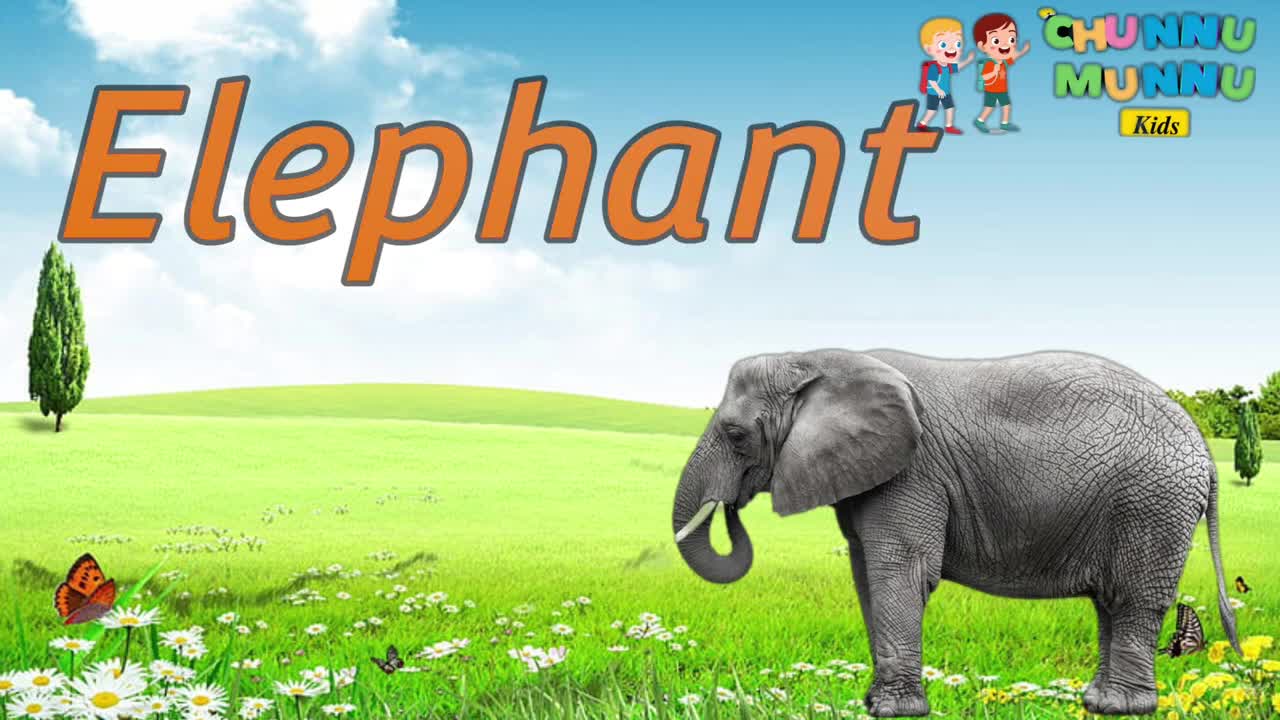 Animals Name | Animals Name Basic English Learning | Learn Animals Name in English Kids