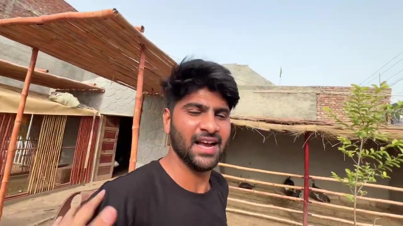 Horse Na Turab ko Tang Mar Di