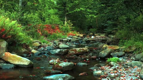 Drone shots in Nature