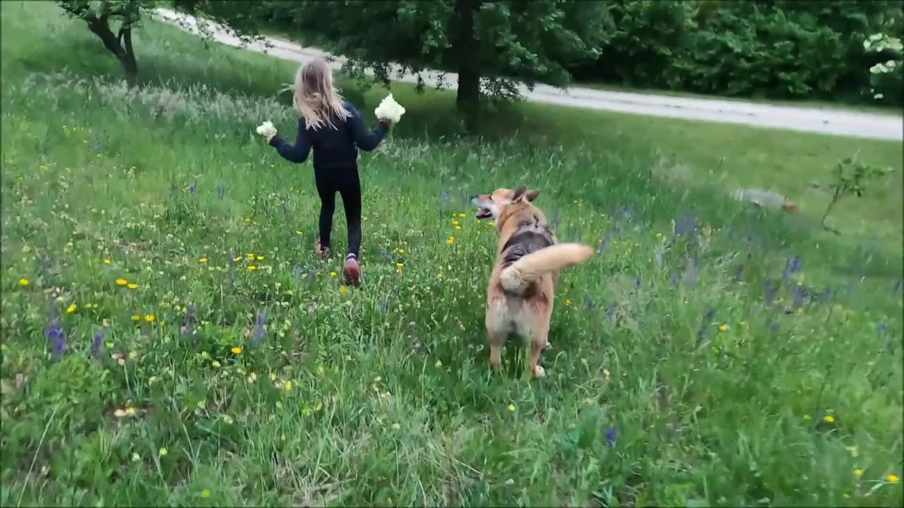 Purpose of a Dog (clip)