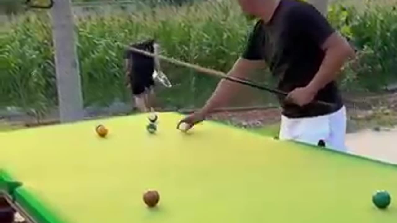 Funny play video