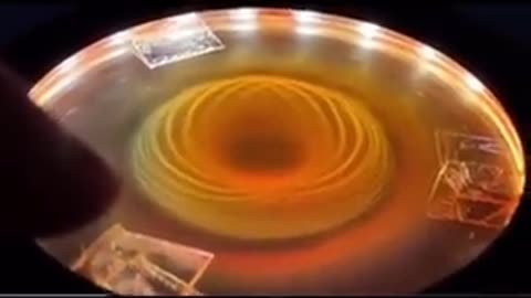 Shorts - Magnets And Energy