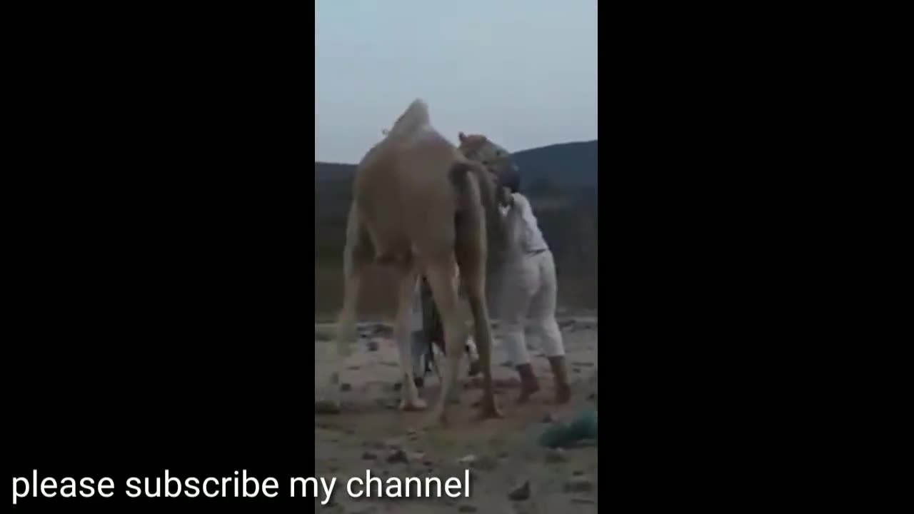 crazy Arab , Arab funny . Arabi video. Arabic funny videos 2020