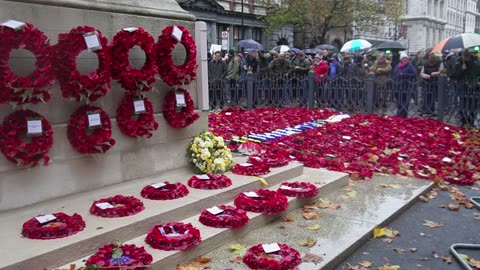 UK Farmers Protest in London: 19th November 2024 - Part 4