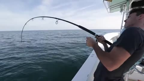 Amazing Fish Catching