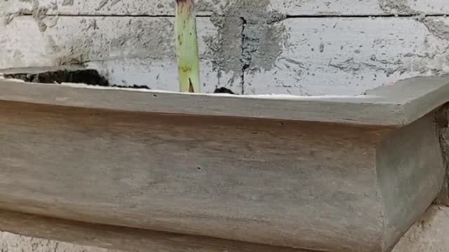 HOW TO MAKE A PROFILE FOR A FENCE WALL