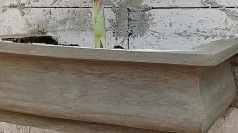 HOW TO MAKE A PROFILE FOR A FENCE WALL