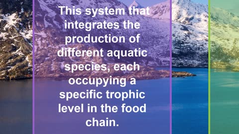 What is Integrated Multi-Trophic Aquaculture (IMTA) System - Sustainable Aquaculture Farming